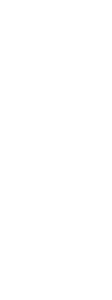 vector image